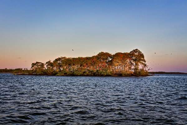 Paisagem do Delta do Parnaíba com a Revoada dos Guarás